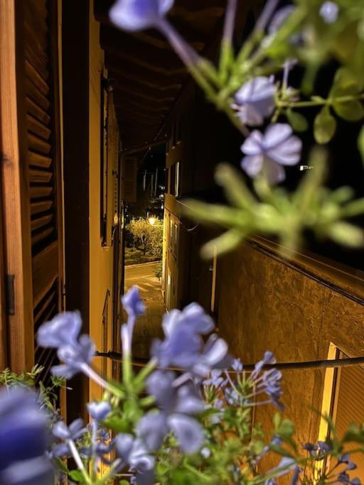 La Piccola Casa Al Lago - Intera Casa Con 3 Camere E 2 Box Salo Ngoại thất bức ảnh